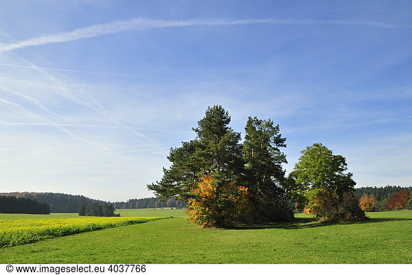 Landschaft bei Rußberg Risiberg Naturpark Obere Donau Großer Heuberg Schwäbische Alb Baden-Württemberg Deutschland Europa