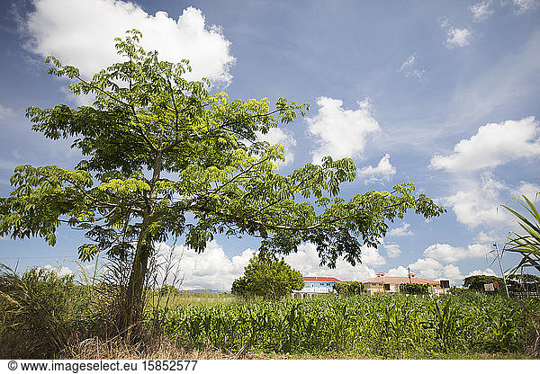 Landschaft einer ländlichen Bauerngemeinschaft in Guatemala