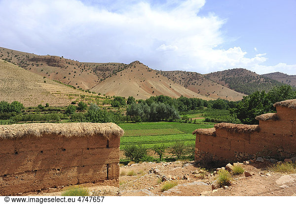 Landschaft Flusstal mit Feldern im Hohen Atlas im Vordergrund Stampflehmmauern mit Stroh bedeckt Ait Bouguemez-Tal Hoher Atlas Marokko Afrika