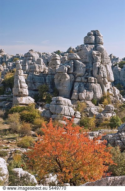 Landschaft  Form  Formen  Andalusien  Kalkstein  Spanien