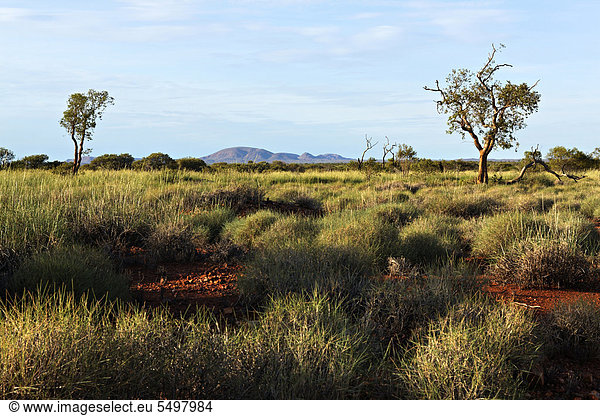 Landschaft im australischen Outback  Pilbara  Western Australia  Australien