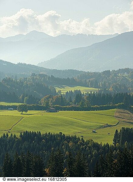 Landschaft im bayerischen Alpenvorland  Blick auf die Ammergauer Alpen. Europa  Deutschland  Bayern.