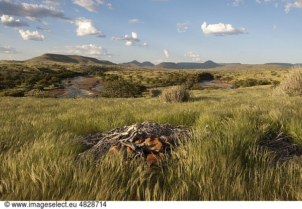 Landschaft in der Palmwag Concession  Namibia  Afrika
