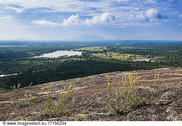Landschaft in Sri Lanka  aufgenommen vom Pidurangala-Felsen  Nord-Zentral-Provinz  Sri Lanka  Asien