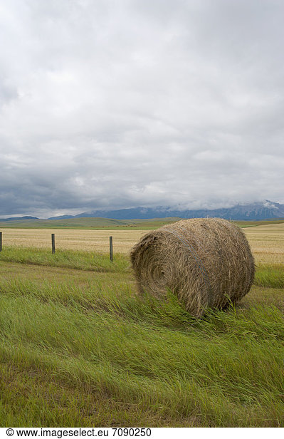 Landschaft  Landwirtschaft  Rocky Mountains  Vorgebirge  Cowboy