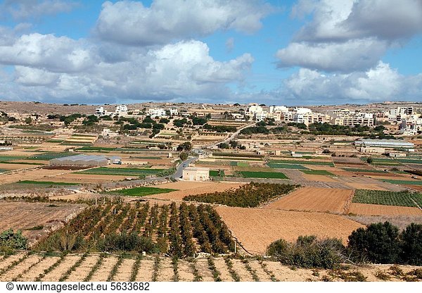 Landschaft  Malta