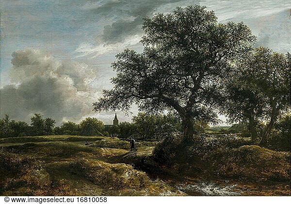 Landschaft mit einem Dorf in der Ferne  Jacob van Ruisdael  1646  Metropolitan Museum of Art  Manhattan  New York City  USA  Nordamerika.