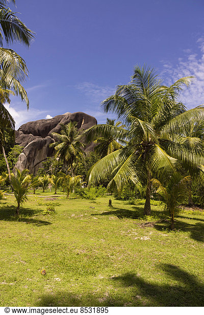 Landschaft mit für die Seychellen typischen Felsformationen  Anse Union  La Digue  Seychellen