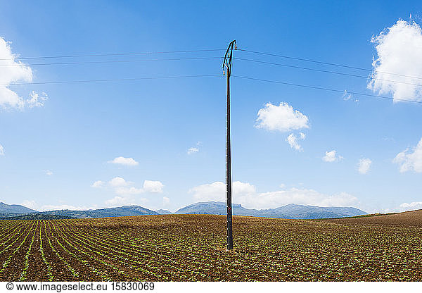 Landschaft mit Strommast auf einer Ebene  Ronda  Malaga  Spanien
