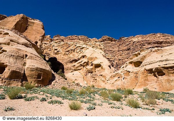 Landschaft  Weg  Naher Osten  UNESCO-Welterbe  Petra  Wadi Musa