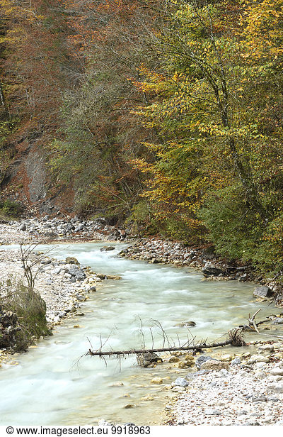 Landschaftlich schön landschaftlich reizvoll Herbst Ansicht Schlucht Deutschland Oberbayern