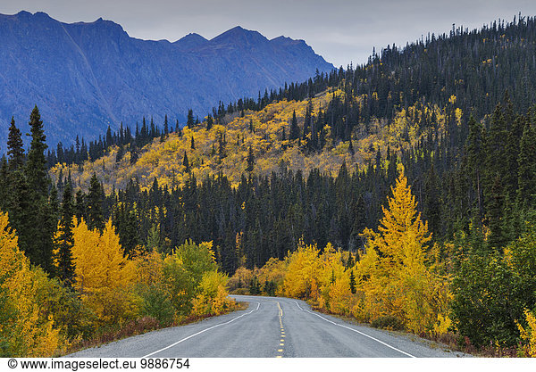 Landschaftlich schön landschaftlich reizvoll Herbst Bundesstraße vorwärts Yukon Kanada
