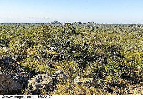 Landschaftliche Aussicht. Südlicher Krüger-Nationalpark. Mpumalanga. Süd Afrika.