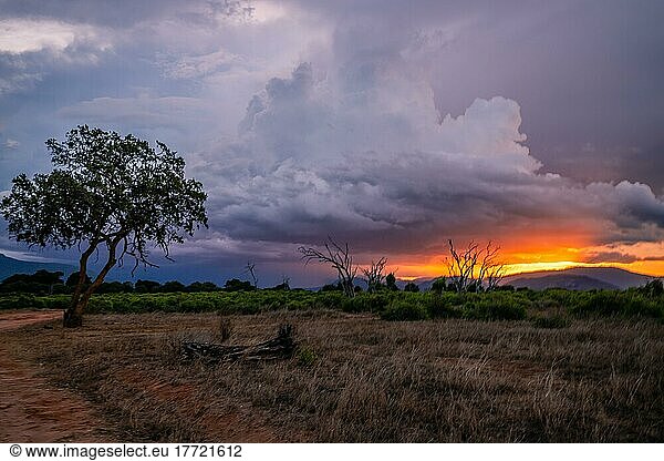 Landschaftsaufnahme  Dramatischer Sonnenuntergang mit dicken regenwolken in Tsavo Nationalpark  Kenia  Afrika