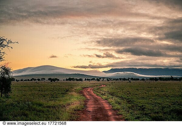 Landschaftsaufnahme in der weiten Savanne mit Bergen und morgennebel  Taita hills  Kenia  Afrika