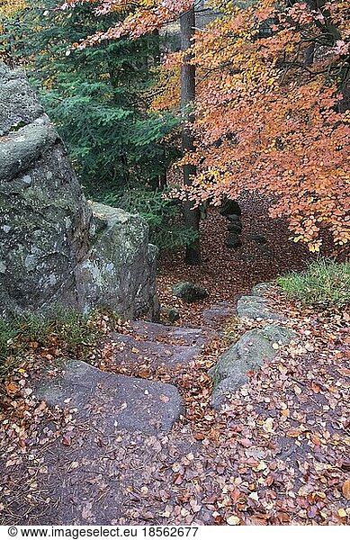 Landschaftsaufnahmen aus dem Zittauer Gebirge Jonsdorfer Felsenstadt