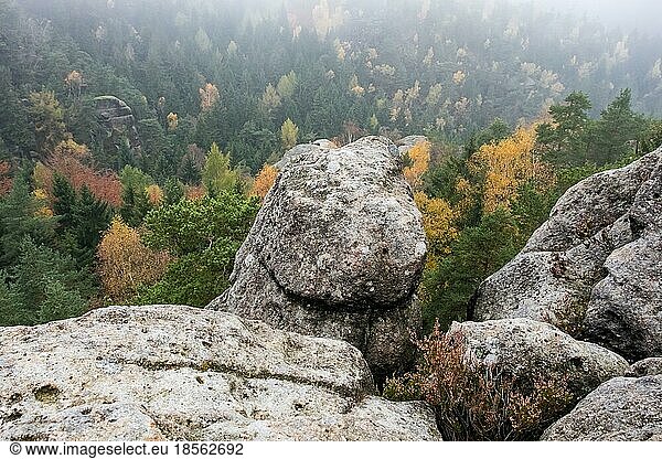 Landschaftsaufnahmen aus dem Zittauer Gebirge Jonsdorfer Felsenstadt