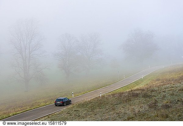 Landstraße im dichten Nebel  Owen  Baden-Württemberg  Deutschland  Europa
