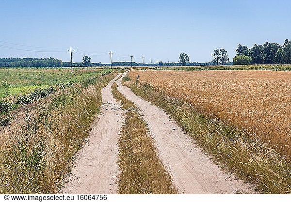 Landstraße im Kreis Drawsko in der Region Westpommern in Polen.