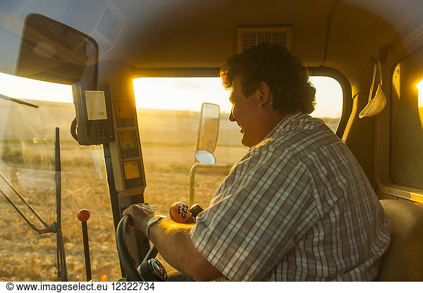 Landwirt in einem Mähdrescher bei der Maisernte bei Sonnenuntergang  in der Nähe von Nerstrand; Minnesota  Vereinigte Staaten von Amerika