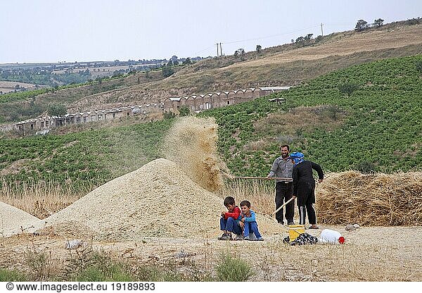 Landwirt mit Frau und Kindern bei der Getreideernte im Iran