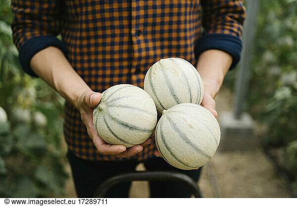 Landwirt mit frischen Bio-Melonen auf dem Bauernhof