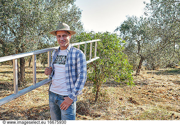 Landwirt nimmt die Treppe  um auf die Olivenbäume zu klettern