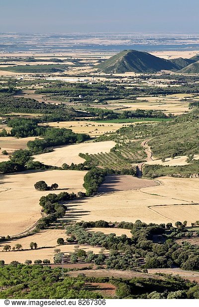 Landwirtschaft Nutzpflanze trocken Huesca Spanien