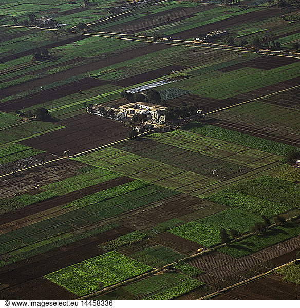 Landwirtschaftliche Felder im Niltal