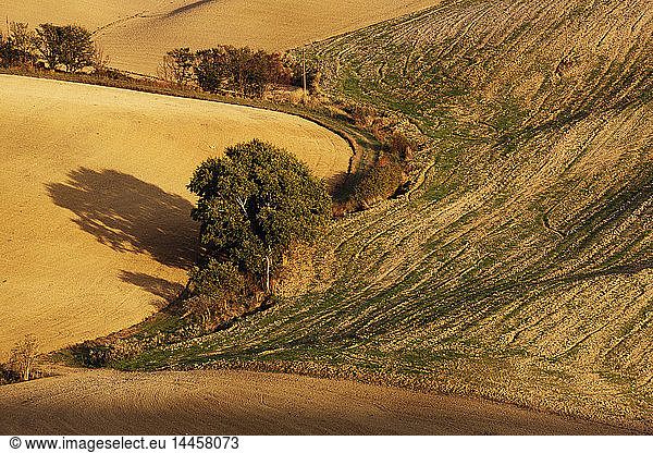 Landwirtschaftliche Landschaft