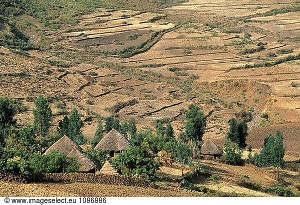 Landwirtschaftliche Landschaft. Zwischen Dilb und Lalibela. Äthiopien.