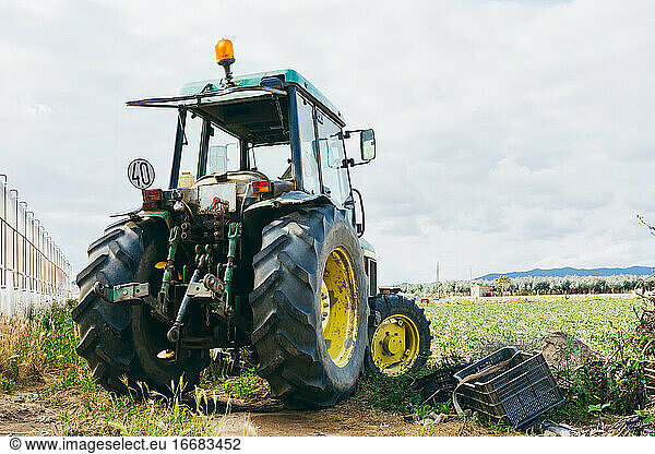 Landwirtschaftliche Maschinen auf einem Tomatenfeld.
