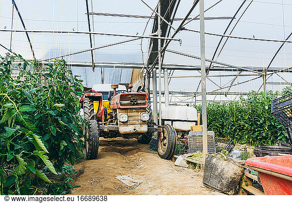 Landwirtschaftliche Maschinen auf einem Tomatenfeld.