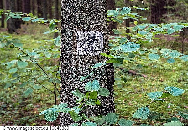 Langlaufloipenschild im Wigry-Nationalpark in der Nähe des Dorfes Slupie im Landkreis Suwalki  Woiwodschaft Podlachien im Nordosten Polens.