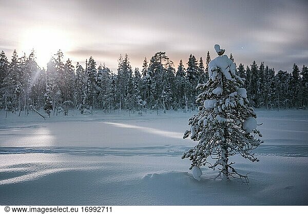 Lappland bei Nacht unter dem Sternenhimmel in der gefrorenen Winterlandschaft  Finnland
