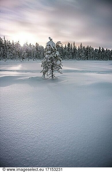 Lappland bei Nacht unter dem Sternenhimmel in der gefrorenen Winterlandschaft  Finnland