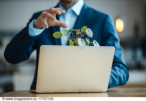 Laptop and plant on table in front of businessman at cafe
