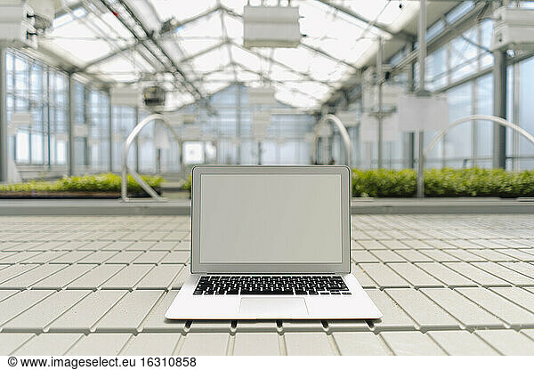 Laptop auf dem Boden mit Pflanzen im Hintergrund im Gewächshaus