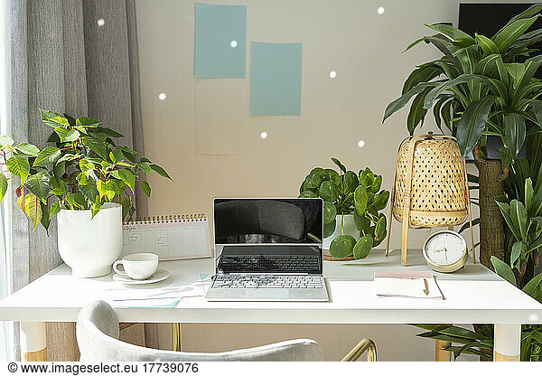 Laptop kept with coffee cup and houseplants on desk in home office
