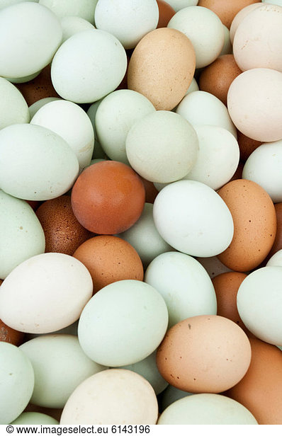 Large amount of eggs