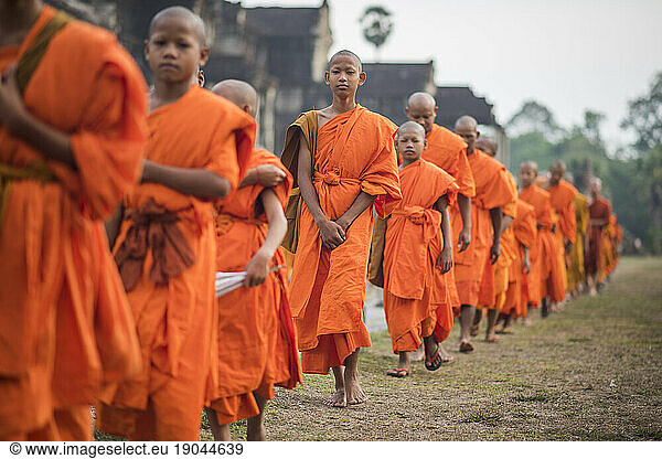 Large group of Buddhist monks during the celebration of the Visak Bochea at the Angkor Wat temple  Siem Reap  Cambodia.
