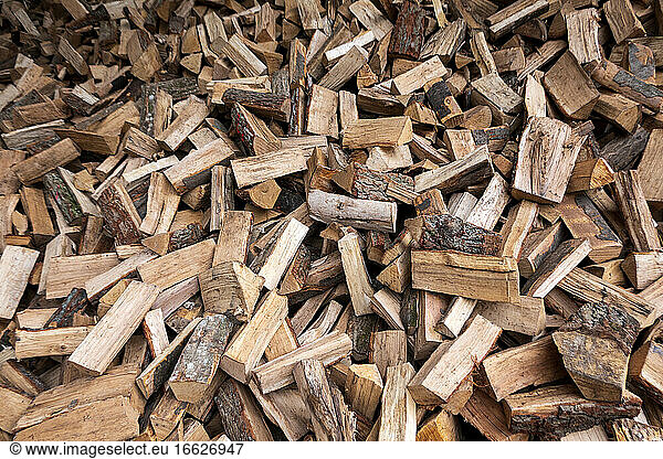 Large heap of firewood