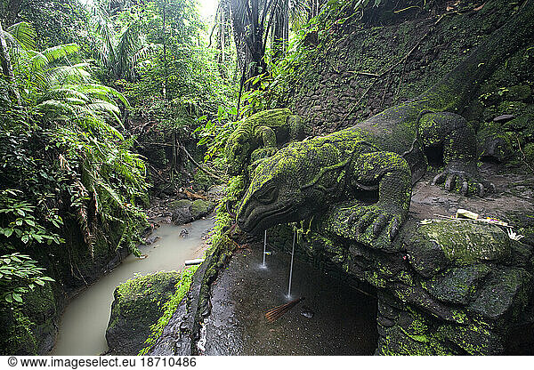 large lizard statues and water in wet green forest