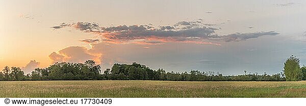 Large pink cloud at sunset over meadow in spring. panorama  panoramic  banner. Alsace  France  Europe