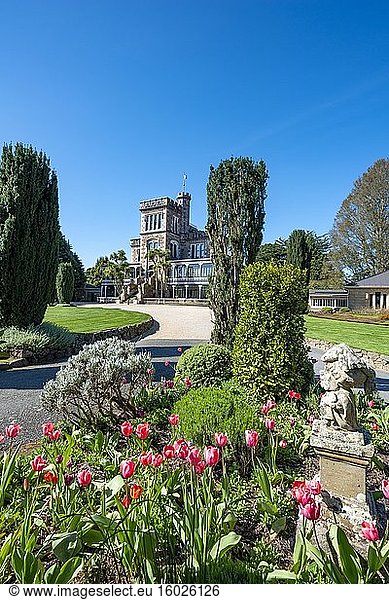 Larnach Castle  Parkanlage und Schloss mit Tulpen  Dunedin  Otago Halbinsel  Südinsel  Neuseeland  Ozeanien