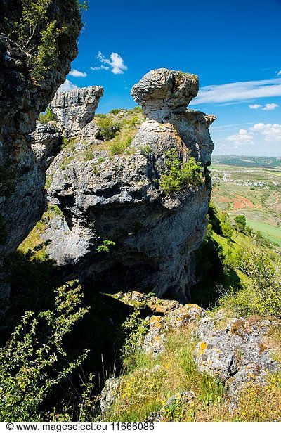 Las Tuerces es un espacio natural protegido de la provincia de Palencia comunidad autónoma de Castilla y León España.