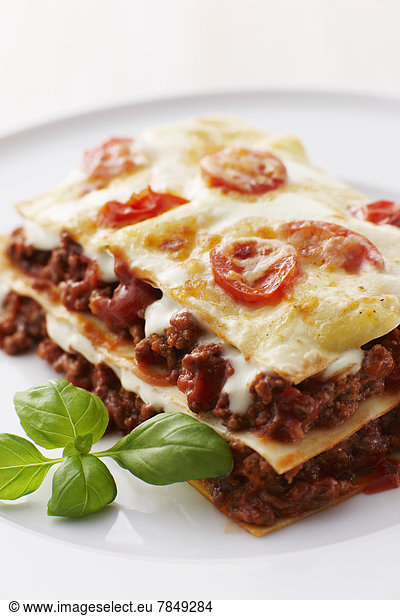 Lasagne on plate  close up