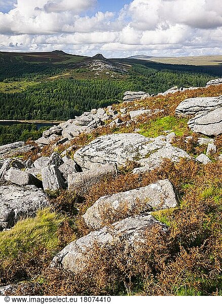 Late summer view of Leather Tor and Sharpitor from Sheeps Tor in Dartmoor National Park  Devon  England  United Kingdom  Europe