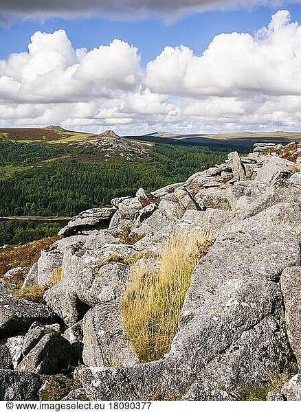 Late summer view of Leather Tor and Sharpitor from Sheeps Tor in Dartmoor National Park  Devon  England  United Kingdom  Europe