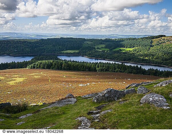 Late summer view over Burrator Reservoir from Sheeps Tor in Dartmoor National Park  Devon  England  United Kingdom  Europe